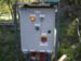 01 Pump control unit