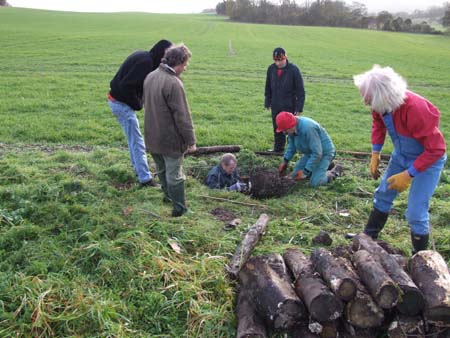 Removing logs